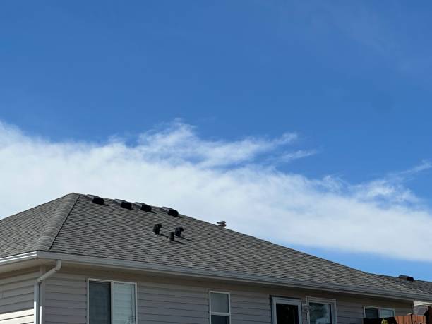 Best Asphalt Shingles Roofing  in Dixon, MO